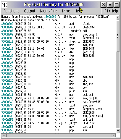 Example display of disassembled physical memory for Mozilla