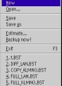 File Menu