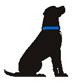 Lycos-Logo mit Labrador